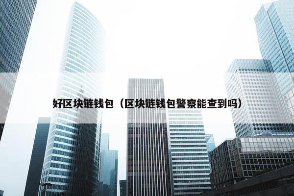 好区块链钱包（区块链钱包警察能查到吗）