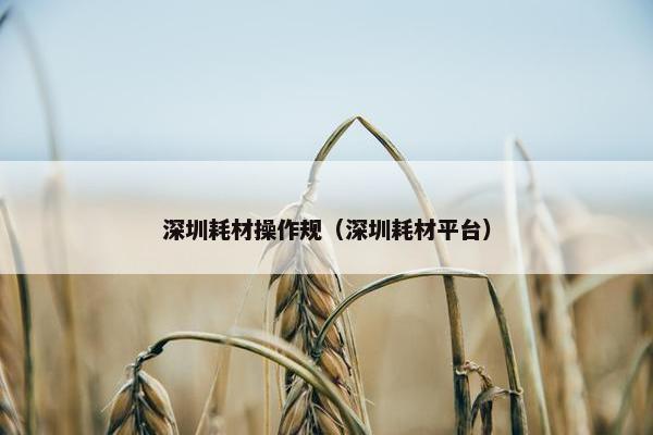 深圳耗材操作规（深圳耗材平台）