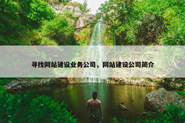 寻找网站建设业务公司，网站建设公司简介