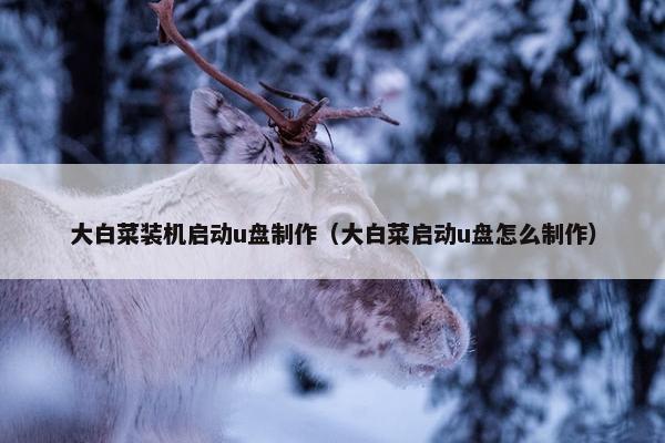 大白菜装机启动u盘制作（大白菜启动u盘怎么制作）