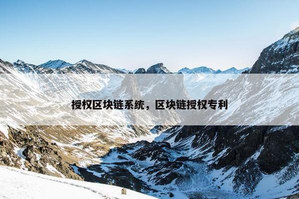 授权区块链系统，区块链授权专利