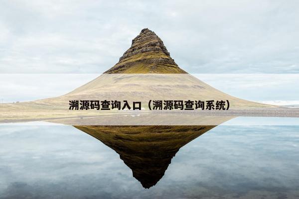 溯源码查询入口（溯源码查询系统）