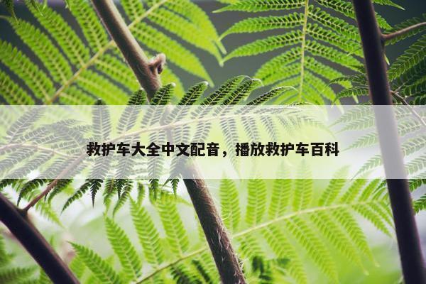救护车大全中文配音，播放救护车百科
