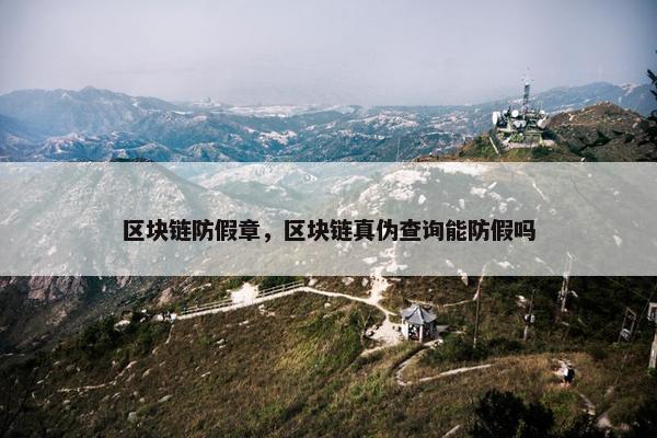 区块链防假章，区块链真伪查询能防假吗