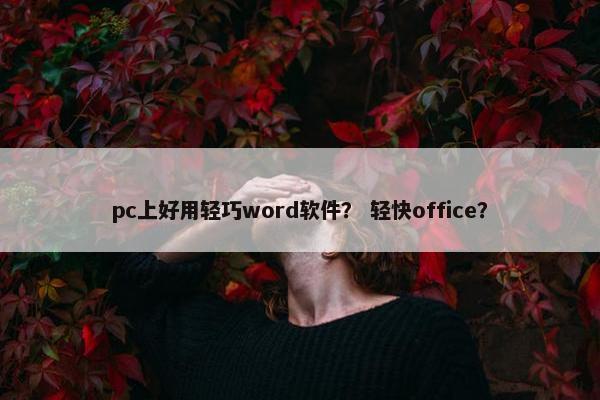 pc上好用轻巧word软件？ 轻快office？