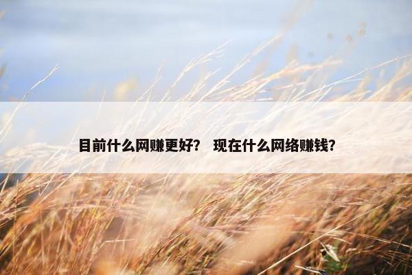 目前什么网赚更好？ 现在什么网络赚钱？