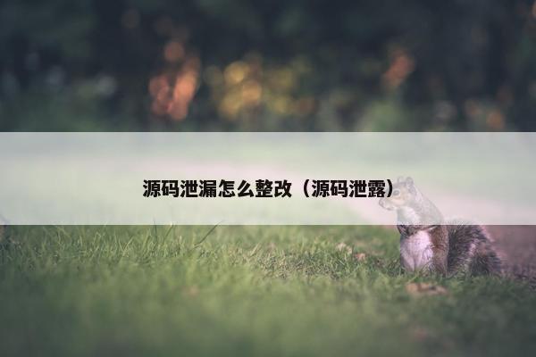 源码泄漏怎么整改（源码泄露）