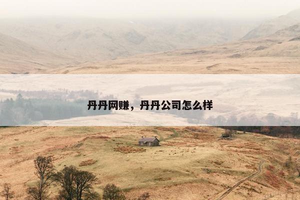 丹丹网赚，丹丹公司怎么样