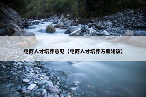 电商人才培养意见（电商人才培养方案建议）