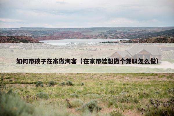 如何带孩子在家做淘客（在家带娃想做个兼职怎么做）