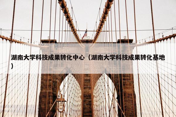 湖南大学科技成果转化中心（湖南大学科技成果转化基地）