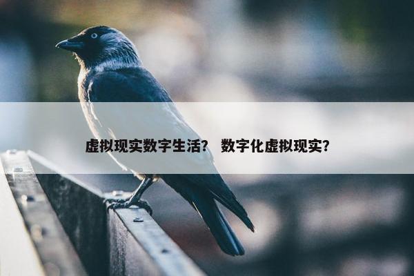虚拟现实数字生活？ 数字化虚拟现实？