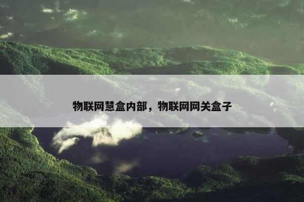 物联网慧盒内部，物联网网关盒子