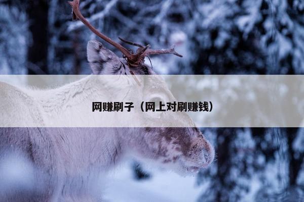 网赚刷子（网上对刷赚钱）