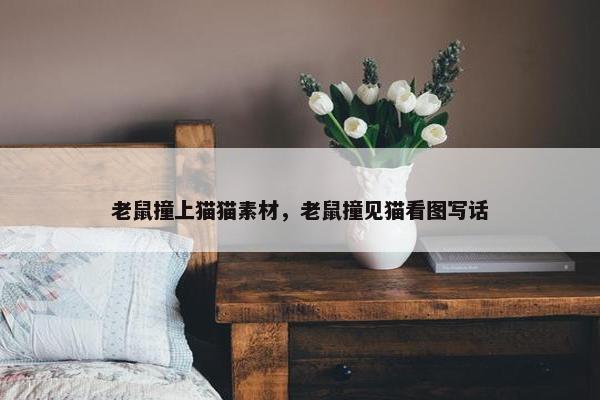 老鼠撞上猫猫素材，老鼠撞见猫看图写话
