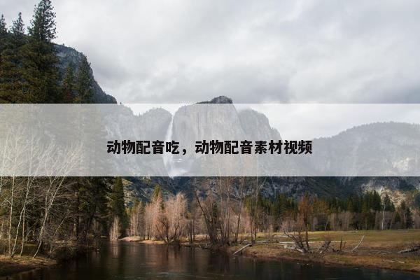 动物配音吃，动物配音素材视频