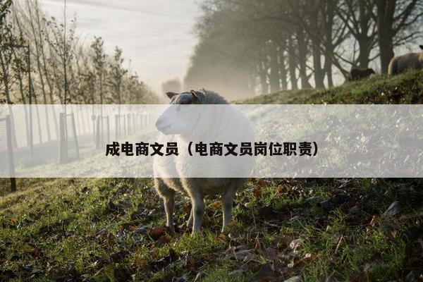 成电商文员（电商文员岗位职责）