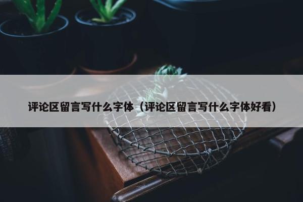 评论区留言写什么字体（评论区留言写什么字体好看）