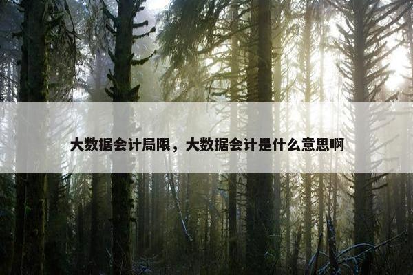 大数据会计局限，大数据会计是什么意思啊