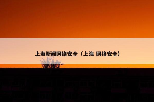 上海新闻网络安全（上海 网络安全）