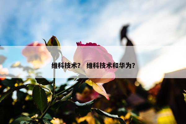 维科技术？ 维科技术和华为？