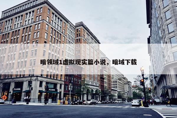 暗领域1虚拟现实篇小说，暗域下载