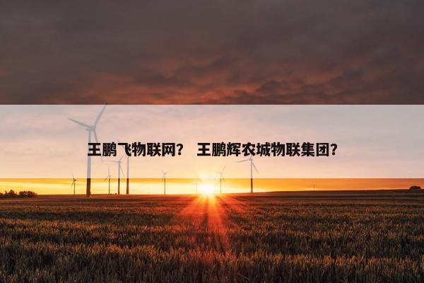 王鹏飞物联网？ 王鹏辉农城物联集团？