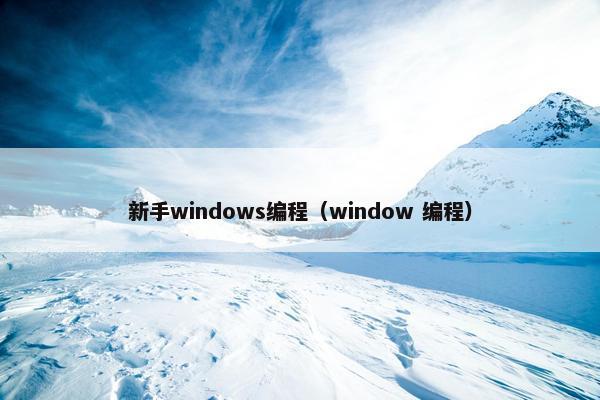 新手windows编程（window 编程）