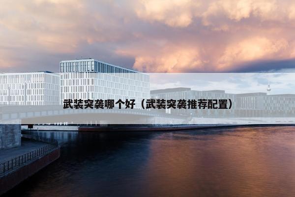 武装突袭哪个好（武装突袭推荐配置）