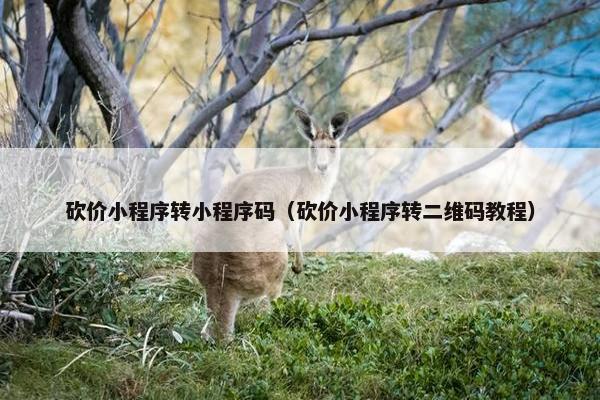 砍价小程序转小程序码（砍价小程序转二维码教程）