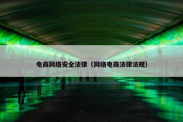 电商网络安全法律（网络电商法律法规）