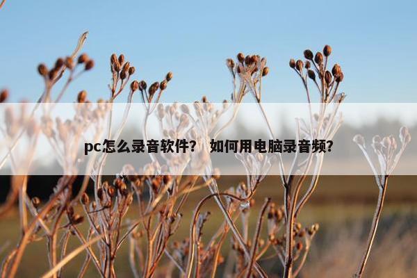 pc怎么录音软件？ 如何用电脑录音频？