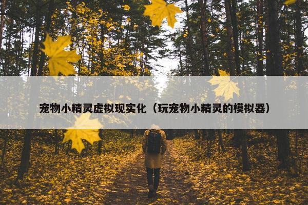 宠物小精灵虚拟现实化（玩宠物小精灵的模拟器）