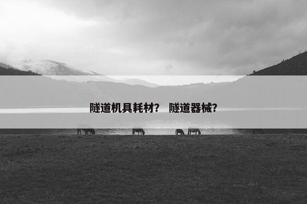 隧道机具耗材？ 隧道器械？