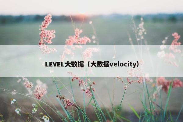 LEVEL大数据（大数据velocity）