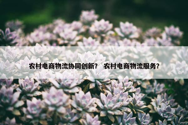 农村电商物流协同创新？ 农村电商物流服务？