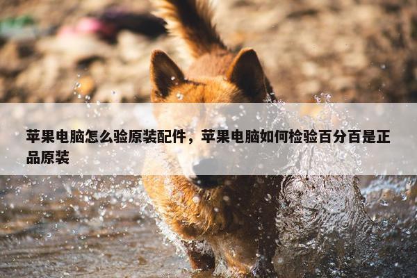 苹果电脑怎么验原装配件，苹果电脑如何检验百分百是正品原装