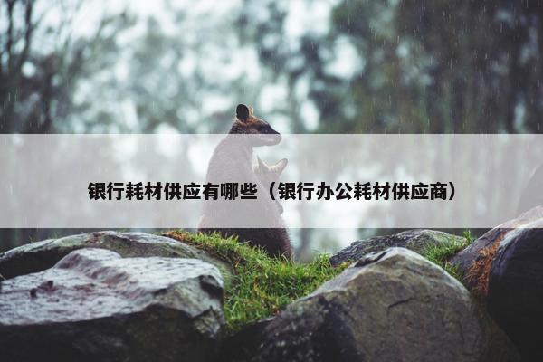 银行耗材供应有哪些（银行办公耗材供应商）