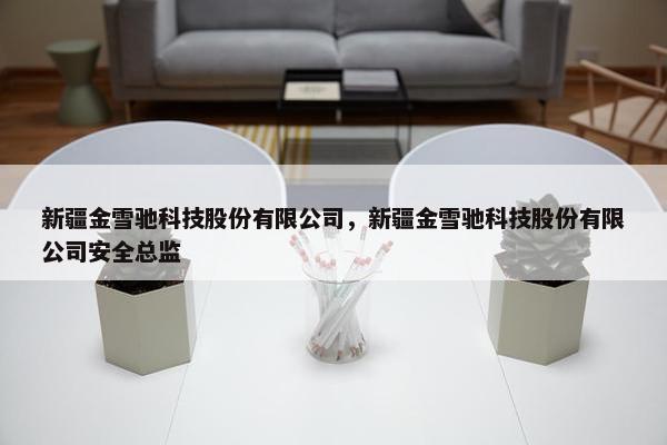 新疆金雪驰科技股份有限公司，新疆金雪驰科技股份有限公司安全总监