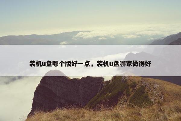 装机u盘哪个版好一点，装机u盘哪家做得好