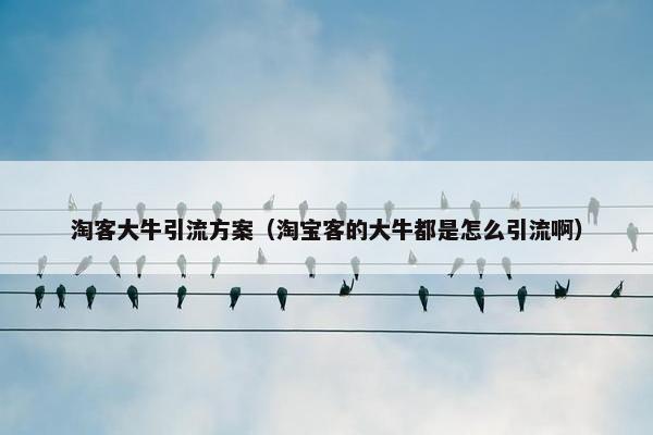 淘客大牛引流方案（淘宝客的大牛都是怎么引流啊）
