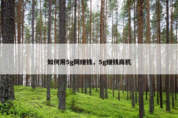 如何用5g网赚钱，5g赚钱商机
