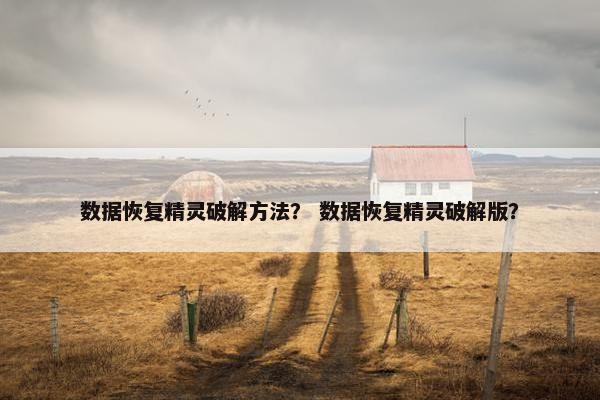 数据恢复精灵破解方法？ 数据恢复精灵破解版？