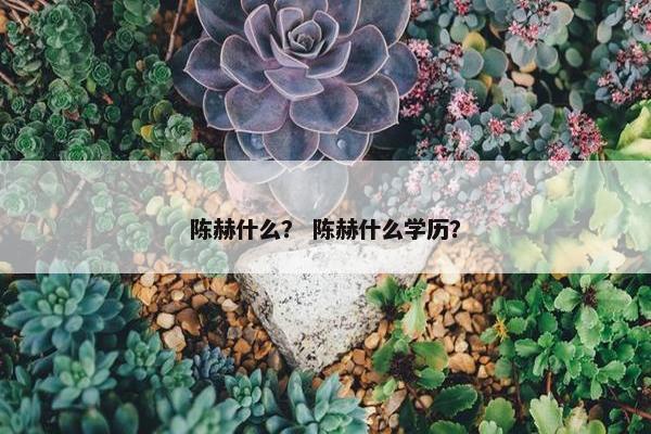 陈赫什么？ 陈赫什么学历？