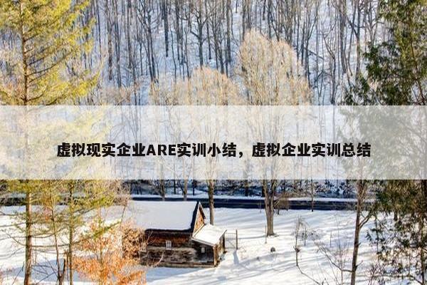 虚拟现实企业ARE实训小结，虚拟企业实训总结
