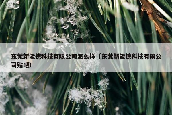 东莞新能德科技有限公司怎么样（东莞新能德科技有限公司贴吧）