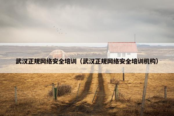 武汉正规网络安全培训（武汉正规网络安全培训机构）