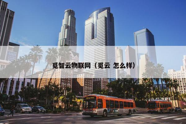 觅智云物联网（觅云 怎么样）