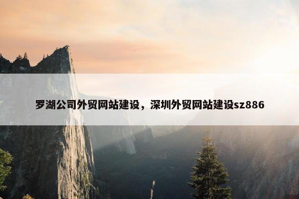 罗湖公司外贸网站建设，深圳外贸网站建设sz886