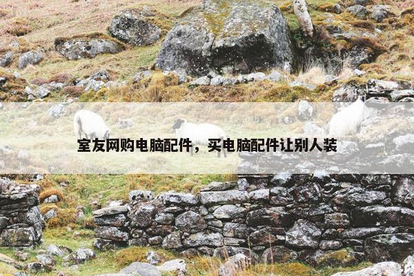 室友网购电脑配件，买电脑配件让别人装